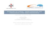 Rapport de stage : Amélioration des processus chez AWA ...doc.centrale-marseille.fr/TFE/inter2015/DARDE_Cécile_Rapport.pdf · Rapport de stage de fin d’étude ... j’avais décidé