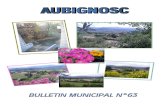 BULLETIN N° 63 - aubignosc04.fr · Pour mémoire 2010 ... AEP du hameau et augmentation de la ... la réhabilitation du réseau d’eau potable du
