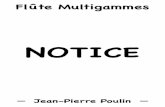NOTICE - jeanpierrepoulin.com · La Flûte Multigammes Merci d'avoir effectué votre choix parmi les différents éléments de la flûte multigammes. Vous avez la possibilité de