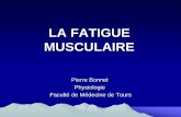 LA FATIGUE MUSCULAIRE - adoumngar.free.fradoumngar.free.fr/Cours L3/Locomoteur pas sur ENT/Physio - Fatigue... · 1. DEFINITION La fatigue incapacité de l’organisme à maintenir