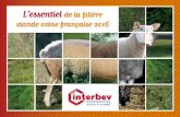 L’essentielde la filière viande ovine française · PDF file6 • Cheptel - Document INTERBEV 2016 Filière ovine française 70 197 élevages détenteurs d’au moins 1 ovin 792