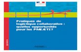 Pratiques de logistique collaborative : quelles ... · PDF filePIPAME Kurt Salmon Pratiques de logistique collaborative : quelles opportunités pour les PME/ETI ? Membres du comité