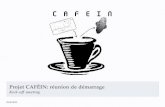 Projet CAFÉIN: réunion de démarrage - Kick-off meeting · PARTICIPANTS DU PROJETS Onera ... 10h Accueil-WP0 (-> 11h) Début WP1 12h Repas 13h ... À prévoir pour les autres WPs