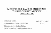 imagerie Des Glandes Endocrines ThyroÏde€¦ · IMAGERIE DES GLANDES ENDOCRINES THYROÏDE-PARATHYROÏDES SURRENALES Emmanuel Coche . Département d’Imagerie Médicale . Cliniques