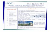 La GazetteLa Gazette - 3AF-MP : Accueil programmes More Electrical Technologies du 6 PCRD Aéronautique, HIRF-SE du 7 , l'initiative Clean Sky), mais aussi sur la prospective dans