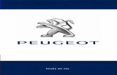 Etude de cas - Paul Pichonpaulpichon.com/docs/Peugeot.pdf · son chiffre d’affaires en 2009 a frôlé les 50 milliards d’euros. ... Maroc, Turquie, Egypte, Nigéria. ... Au niveau