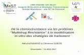 Soutenance de stage - CLARA · 1 De la chimiorésistance via les protéines "Multidrug Resistance" à la modélisation in vitro des stratégies de traitement Mahchid BAMDAD & Clémence