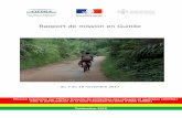 Rapport de mission en Guinée - ofpra.gouv.fr · rapport de mission en guinée . ... 1. rappel historique 2. la situation politique actuelle 3. situation des militants de lunion des