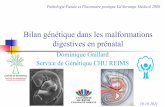 Dominique Gaillard Service de Génétique CHU REIMS€¦ · Atrésie et imperforation anale. Atrésie de l’œsophage : ... Atrésie des choanes