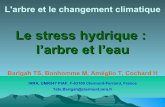Le stress hydrique : l’arbre et l’eau€¦ · Le stress hydrique : l’arbre et l’eau Barigah TS, Bonhomme M, Améglio T, Cochard H INRA, UMR547 PIAF, F-63100 Clermont-Ferrand,