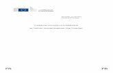 COMMUNICATION DE LA COMMISSION sur l'initiative …ec.europa.eu/environment/chemicals/lab_animals/pdf/vivisection/fr.pdf · COMMUNICATION DE LA COMMISSION ... n° 1223/2009 relatif