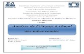 Thème - Université Larbi Tébessi · République Algérienne Démocratique et Populaire Ministère de L'enseignement Supérieur et de la Recherche Scientifique Université Larbi