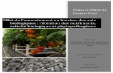 Effet’de’l’amendement’en’biochar’des’sols’ biologiques ... · Programme de soutien au développement de l’agriculture biologique du MAPAQ Programme Innovbio RAPPORT