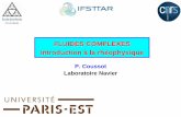 FLUIDES COMPLEXES Introduction à la rhéophysique - RISC-Erisc-e.univ-rennes1.fr/IMG/pdf/EcoleSC3_-_Philippe_Coussot.pdf · Laves torrentielles Composants :-Eau - Argiles - Sable