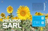 PROLIPOS SARL - Palletizers · 3 lignes PET complètes pour l'embouteillage d'huile alimentaire (production de 6.000 à 20.000 bouteilles/heure suivant le format de la bouteille)