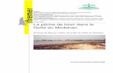 La pêche de loisir dans le Golfe du Morbihanhalieutique.agrocampus-ouest.fr/pdf/166.pdf · Auteurs : Marie Lesueur (Ecole Nationale Supérieur Agronomique de Rennes), Bruno Drouot