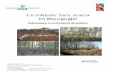 Le robinier faux acacia en Bourgogne - La for t en ... · LE ROBINIER EN BOURGOGNE –- Bruno BORDE – Janvier 2011 – page 3 Le robinier faux acacia est la première essence forestière