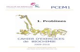 1. Protéines - aristote.datacenter.dsi.upmc.fraristote.datacenter.dsi.upmc.fr/disc/PCEM1/ED/01_Prot2009-10.pdf · Cahier d'Exercices en Biochimie / PCEM1 Protéine / 3 Faculté de