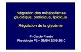 Intégration des métabolismes ... - tthomas.le.free.frtthomas.le.free.fr/physio/Glycemie/poly glycémie.pdf · Généralités sur le contrôle et l’intégration des métabolismes