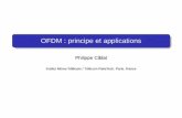 OFDM : principe et applications - Sites personnels de ... · PDF fileZF-DFE MMSE-DFE Philippe Ciblat OFDM : principe et applications 10 / 44. IES Principe de l’OFDM Détection en