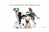 Les animaux et l’aloe vera - gallery.foreverliving.comgallery.foreverliving.com/gallery/NLD/download/distrib/Downloads... · avec de l’Aloe Veterinary Formula. Recommandations