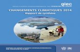 CHANGEMENTS CLIMATIQUES 2014 - ipcc.ch · Changements climatiques 2014 Rapport de synthèse Publié sous la direction de L’équipe de rédaction principale Rapport de synthèse