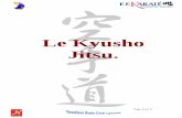 Le Kyusho Jitsu. - nordmartial.orgnordmartial.org/commun/document/historique/historique_kyushojitsu.pdf · Appelé Dim Mak en Chine, le Kyusho est un complément technique. Notre