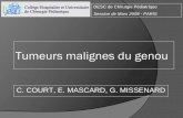 tumeurs Malignes Du Genou - Sofop€¦ · Tumeurs malignes du genou C. COURT, E. MASCARD, G. MISSENARD DESC de Chirurgie Pédiatrique Session de Mars 2008 - PARIS