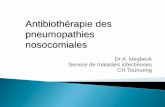 Antibiothérapie des pneumopathies nosocomiales · Définitions Quand traiter : Diagnostic (clinique, radiologique, microbiologique) Stratégies thérapeutiques Nouveaux marqueurs
