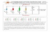COMMUNICATION NERVEUSE (37) - lycée Fénelon · COMMUNICATION NERVEUSE (37) Modèle analogique de membrane d’axone ... sensibles à la tension ne sont d’ailleurs localisés qu’à