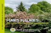 HAIES FLEURIES - serresderavelin.com · Un arbuste qui résiste très bien à la cha - leur et se contente de sols pauvres. Extra en haies fleuries l’été, en compagnie de buddleia,