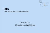 SI4 : Base de la programmationguillaume.petit.hit-production13.com/.../C3_Structures_repetitives.pdf · En C++, la boucle est réalisée par l’instruction for for ... Structure