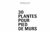 30 PLANTES POUR PIED DE MURS - loiretourisme.com · Aux jardiniers de la Loire … L’idée d’un fleurissement durable est aujourd’hui admise dans toutes les collectivités et