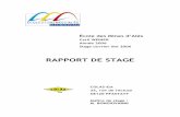 RAPPORT DE STAGE - cyril.dcple.free.frcyril.dcple.free.fr/fichiers/Rapport de stage.pdf · RAPPORT DE STAGE COLAS-Est 35, ... dans une quarantaine de pays, ... au sein d'une équipe