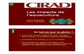 Les impacts de lÕaquaculture - aquatrop.cirad.fraquatrop.cirad.fr/content/download/1629/9250/file/EIS.pdf · des poissons ou d Õautres esp ces aquatiques!Assimil e la chasse ou