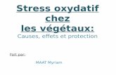 Stress oxydatif chez les végétauxd1n7iqsz6ob2ad.cloudfront.net/document/pdf/53859a56ec7e2.pdf · Stress « Oxydant ». I. Origine du Stress oxydatif • Le stress oxydatif se définit
