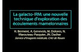 La galacto-IRM: une nouvelle technique d'exploration …pe.sfrnet.org/Data/ModuleConsultationPoster/pdf/2008/1/5bad2e8e-7b... · -plus en distalitéprésence de foyers dʼhyperplasie
