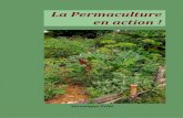 La Permaculture en action - Gourmandises Sauvages · La permaculture est un « outil » d’aménagement visant à créer des environnements humains durables au sein de l’écosystème