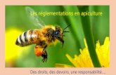 Les réglementations en apiculture - rucher-ecole-du ... · amateur et l’apiculture de loisirs. ... grande importance pendant les périodes anciennes ou la récolte de miel se faisait