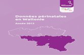 Données périnatales en Wallonie - cepip.be · 9 Données périnatales en Wallonie – année 2013 Conseil d’administration Dr Fr. Chantraine Prof. Ch. Debauche Prof. F. Debiève