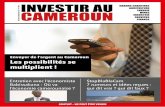 Envoyer de l’argent au Cameroun Les possibilités se ... · Albert MASSIMB, almassimb@yahoo.fr Tel : 00 237 94 66 94 59 ou 00 237 77 75 13 98 Impression ... merounaise, le ministre