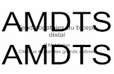 AMDTS - Bienvenueamdts.free.fr/pps/2013/Tendinopathies_bicipitales.pdf · Tendinopathies du biceps distal • Pathologie peu fréquente • Homme à partir de 30-40 ans (travailleur