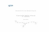 Eléments de Robotique Université Blaise Pascalchateaut.free.fr/robotique/rapport.pdf · Eléments de Robotique Université Blaise Pascal T. Chateau 2012/2013 C0 C1 C2 Ck+1 Cn-2