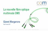 La nouvelle fibre optique multimode OM5 - datacenter … · 5 10, 40 ou 100Giga? • Les nouvelles technologies sont inévitables • Les anciennes technolgies toujours au top •