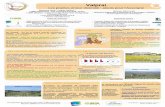 Poster-scientifique-AUV-lt VALPRAI fin · Valprai Les prairies et leur diversité : atouts pour l’Auvergne Unités de recherche : – UMR Herbivores RAPA & EGEE, Inra, Clermont-Fd/Theix