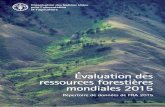 Évaluation des ressources forestières mondiales 2015 · Évaluation des ressources forestières mondiales 2015 répertoire de données de fra 2015 orGanisation des nations unies