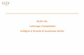 ELSY-AL Lettrage Comptable intégré à Oracle E-business Suiteelsy-informatique.com/fr/_doc/Elsy_AL_A4.pdf · 2 ELSY 1999 : création par des experts des progiciels financiers (trésorerie
