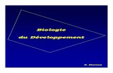 Biologie du Développement - nico8386.free.frnico8386.free.fr/cours/BA/BiodevPierson.pdf · Embryologie Biologie du Développement (2) * Présentation de la discipline-Au carrefour