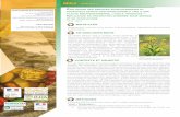 INULA - EcophytoPICecophytopic.fr/sites/default/files/Ris_colloque_livret_2014.pdf · Le projet INULA vise à évaluer voire optimiser le rôle d’une plante méditerranéenne commune,