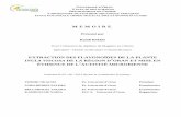 MEMOIRE - Université d'Oran 1 Ahmed Ben Bellatheses.univ-oran1.dz/document/TH4077.pdf · 4. Usages traditionnels .....23 5. Présentation de la plante Inula viscosa ..... 24 5.1.